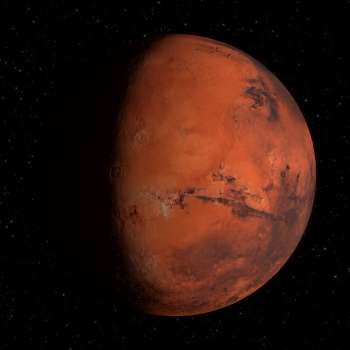 Natal Mars Report